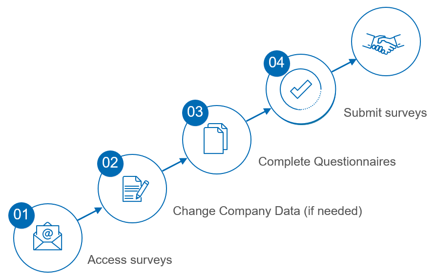 BD-Survey-Process_EN